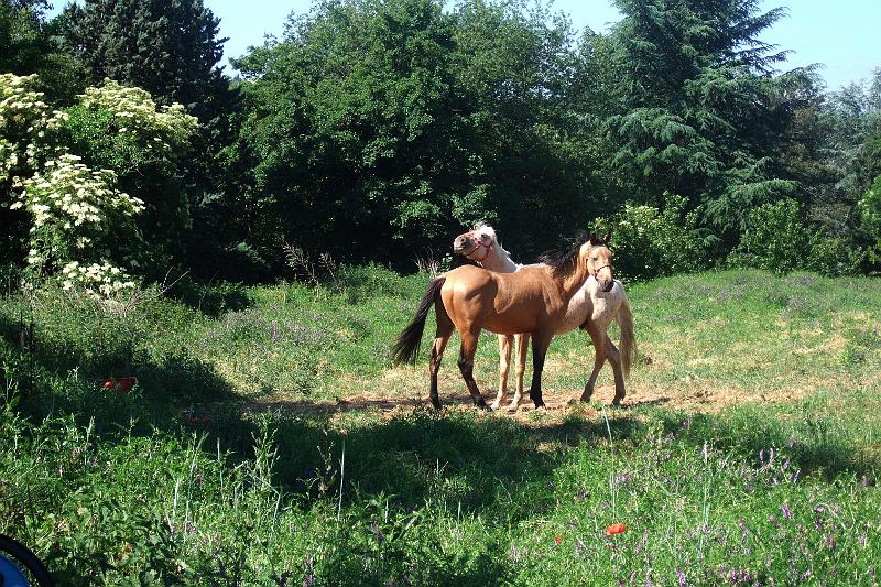 2011-05- (260).JPG